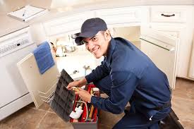 Best Leak Detection and Repair  in Shawneeland, VA